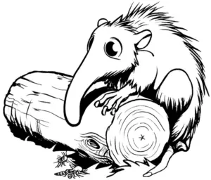 ameisenfresser-auf-baumstamm-ausmalbild