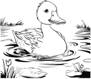 ausmalbild-einer-ente-im-wasser-mit-pflanzen