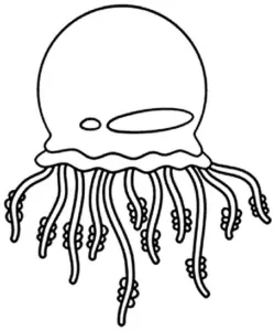 ausmalbild-einer-qualle-mit-langen-tentakeln