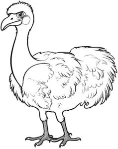 ausmalbild-eines-besonderen-strausses-mit-charakteristischen-merkmale