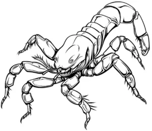 ausmalbild-eines-skorpions-mit-detaillierten-formen