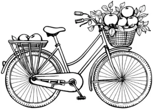 ausmalbild-fahrrad-mit-aepfeln-im-korb