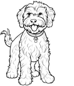 ausmalbild-fröhlicher-hund-lockiges-fell