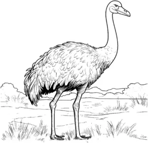 ausmalbild-gefaederter-strauss-natur-umgebung