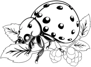 ausmalbild-gefleckter-kaefer-auf-blaettern