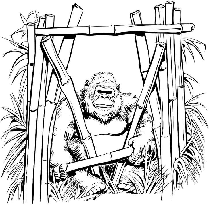 ausmalbild-gorilla-im-bambuswald