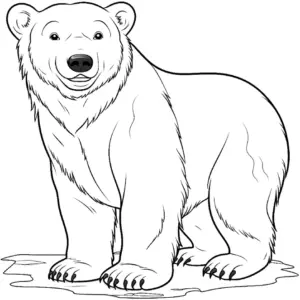 ausmalbild-grosser-baer-im-wald