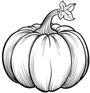 ausmalbild-grosser-kuerbis-mit-rillen-und-stiel