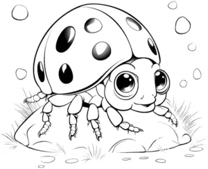 ausmalbild-grosser-marienkaefer-auf-stein