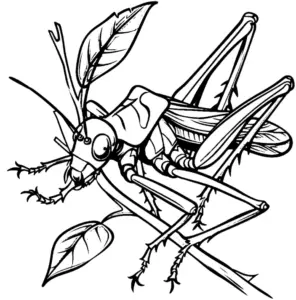 ausmalbild-insekt-auf-ast-mit-blaettern