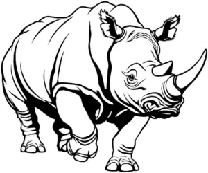 ausmalbild-kraftvolles-nashorn-mit-klaren-konturen