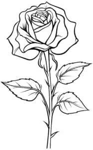 ausmalbild-langstielige-rose-mit-bluetenblaettern-und-blaettern