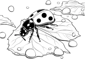ausmalbild-marienkaefer-auf-blatt-mit-wassertropfen