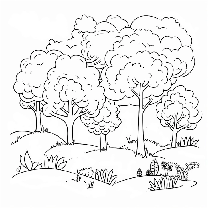 ausmalbild-mit-baeumen-in-einer-waldlandschaft