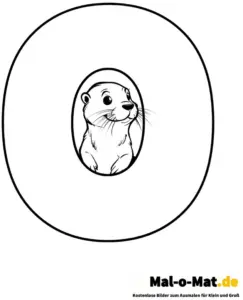 ausmalbild-mit-otter-im-buchstaben-o