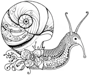 ausmalbild-mit-schnecke-und-blumen-muster