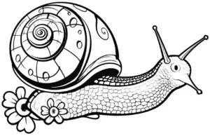 ausmalbild-mit-schnecke-und-blumenmotiv