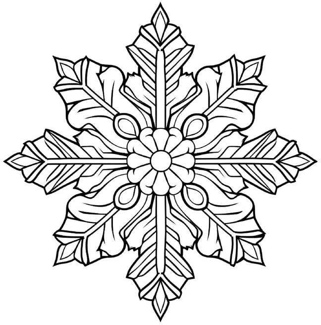 ausmalbild-mit-schneeflocke-und-pflanzenmotiven