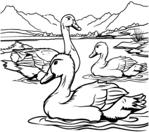 ausmalbild-mit-schwimmenden-entzen-in-naturkulisse