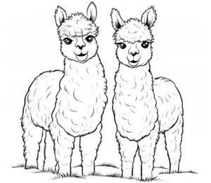 ausmalbild-mit-zwei-fröhlichen-alpakas