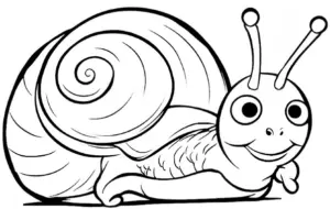 ausmalbild-niedliche-schnecke-mit-spiralförmiger-schale