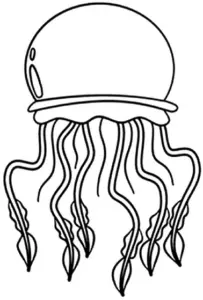 ausmalbild-ozeanische-qualle-mit-langen-tentakeln