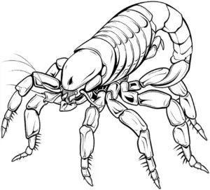 ausmalbild-schattenjaeger-skorpion-mit-detaillierten-strukturen