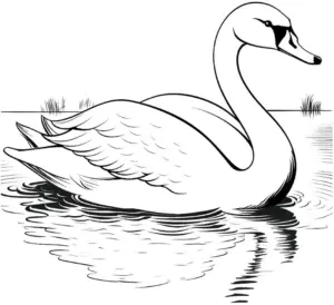 ausmalbild-schwimmender-schwan-auf-wasser