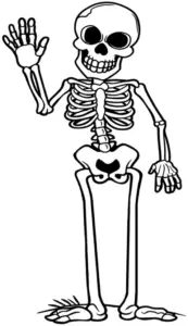 ausmalbild-skelett-mit-freundlichem-winken
