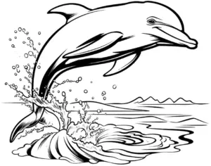 ausmalbild-springender-delphin-mit-wellen