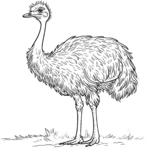 ausmalbild-strauss-in-natuerlicher-umgebung