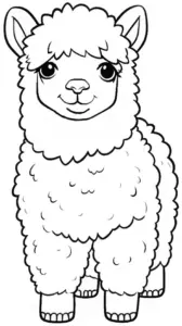 ausmalbild-suesses-alpaka-mit-lockigem-fell