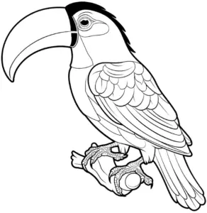 ausmalbild-tukan-auf-ast