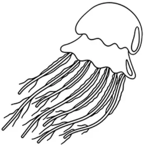 ausmalbild-unterwasserqualle-tentakel-schwimmen-kreatives-malen-ausmalen