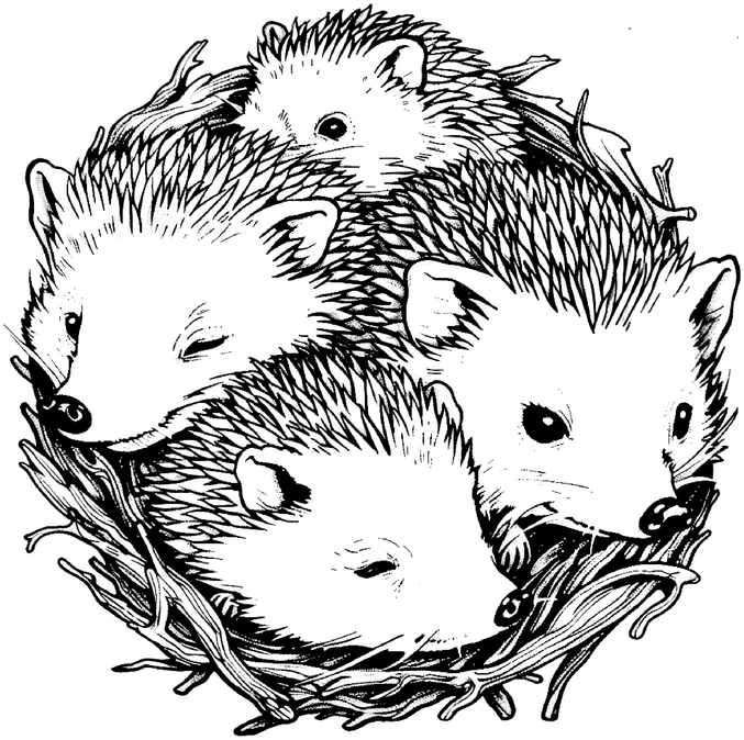 ausmalbild-vier-igel-im-nest