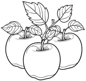 ausmalbild-von-aepfeln-mit-blaettern