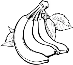 bananen-mit-blaettern-ausmalbild