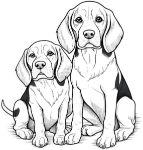 beagle-hunde-ausmalbild-zwei-hunde-sitzen