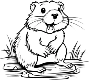biber-ausmalbild-am-bachlauf
