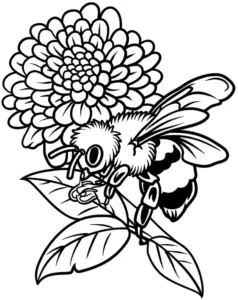 biene-auf-blume-ausmalbild