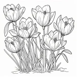 blumen-ausmalbild-mit-krokussen-in-voller-blueete