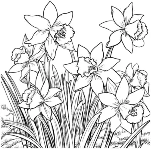 blumen-ausmalbild-mit-narzissen-in-voller-bluete