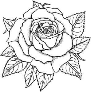 detailliertes-ausmalbild-einer-rose-mit-blaettern
