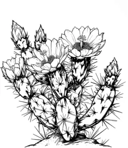 detailreiches-ausmalbild-bluehender-kaktus-mit-stacheln-und-blumen