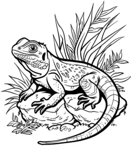 eidechse-auf-felsen-mit-pflanzen-ausmalbild