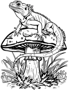 eidechse-auf-fliegenpilz-ausmalbild