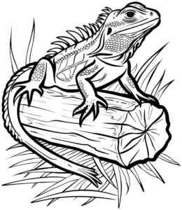 eidechse-auf-holzstamm-ausmalbild
