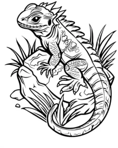 eidechse-ausmalbild-auf-stein-mit-pflanzen