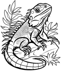 eidechse-ausmalbild-mit-pflanzen-und-felsen