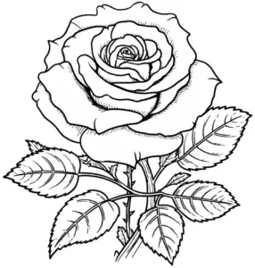 einzelne-rose-ausmalbild-illustration